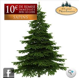 Bon Plan Et Reduction Pour Les Sapins De Noel