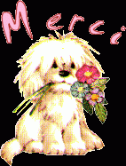 ./images/uploadMembre/65100/bon-plan/2316.gif