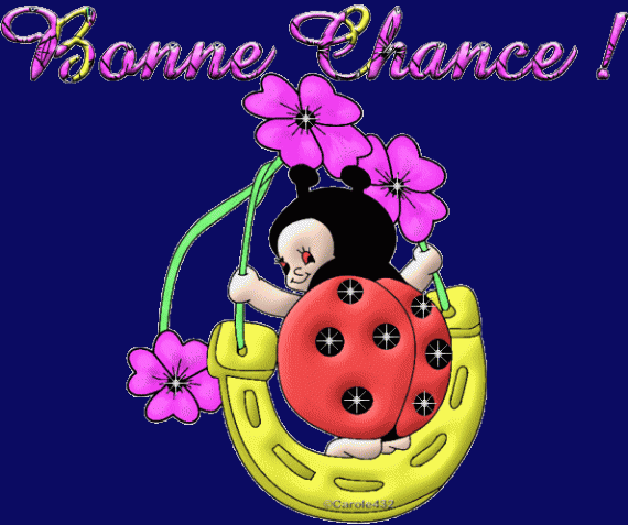 ./images/uploadMembre/66301/bon-plan/3426.gif