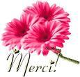 ./images/uploadMembre/70668/bon-plan/9723.jpg