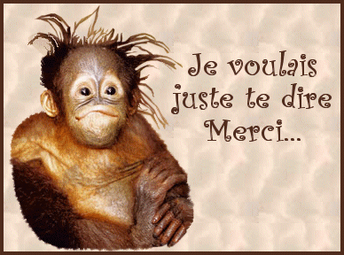 ./images/uploadMembre/74895/bon-plan/17201.gif