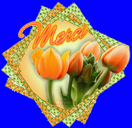 ./images/uploadMembre/75133/bon-plan/23776.gif