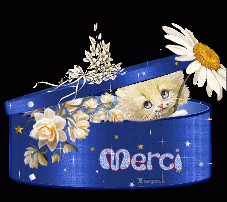 ./images/uploadMembre/80757/bon-plan/7365.gif