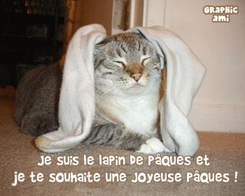 ./images/uploadMembre/81260/bon-plan/12196.jpg