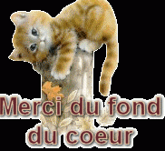./images/uploadMembre/81261/bon-plan/14633.gif